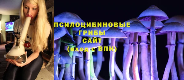 трава Осташков