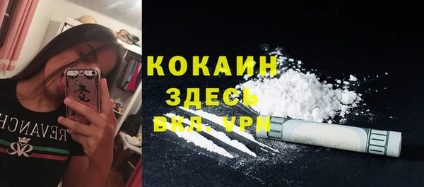 ПСИЛОЦИБИНОВЫЕ ГРИБЫ Пестово